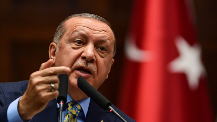 Ի՞նչ գործ ունի ամերիկյան ավիակիրը Իսրայելում․ Էրդողան