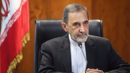 Palestine's successful operation accelerates Israel's collapse: Velayati 