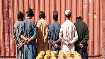 ننګرهار کې پاکستاني وګړي د نشه يې توکو د قاچاق په تور نيول شوي دي