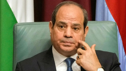 א-סיסי: אתמודד בבחירות הקרובות לנשיאות מצרים