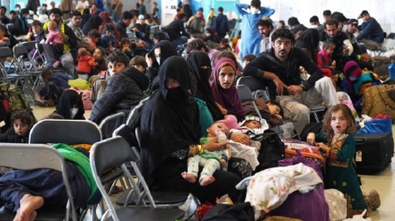 ابراز نگرانی نمایندگی‌های دیپلماتیک و کنسولی افغانستان از وضعیت پناهجویان افغان