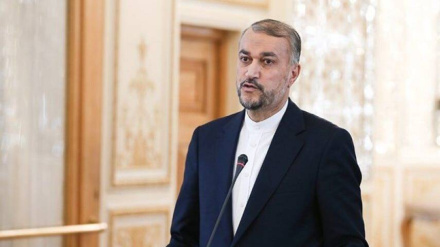 Amir Abdulahjan: Dinozauri polli një mizë!