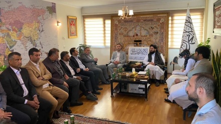 دیدار شماری از تجار ایرانی با سرپرست سفارت افغانستان در تهران