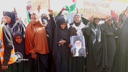 巴勒斯坦支持者在尼日尔首都举行示威 