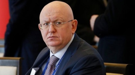 США и Британия проголосовали против предложенной РФ резолюции по событиям в Газе