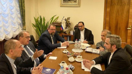 Преобразования сектора Газа, разговор Багери Кани с Богдановым