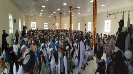 په فراه ولايت کې د دوو کورنيو تر منځ (۲۰) کلنه دښمنۍ په دوستۍ بدله شوه جزیات دلته لرو