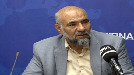 واکنش رئیس سازمان ملی مهاجرت ایران به فضاسازی رسانه ای در مورد مهاجرین افغانستانی