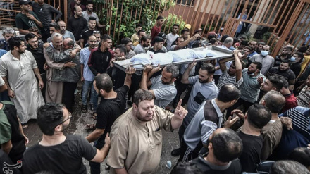 Письмо Ирана в правозащитные учреждения ООН о преступлениях сионистского режима