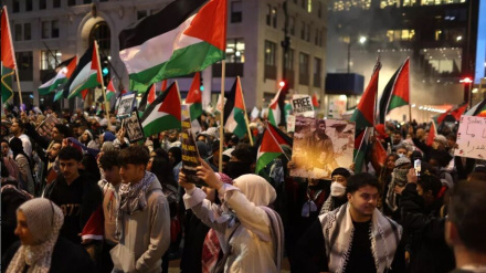 Призыв о снятии запрета на демонстрацию сторонников Палестины в Париже 