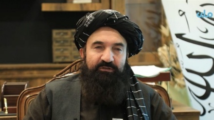 طالبان از سکوت کشورهای اسلامی در قبال جنایات صهیونیستها انتقاد کردند