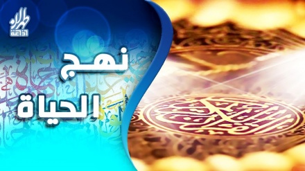 958- سورة الحجرات، الآيات 10 الى 12