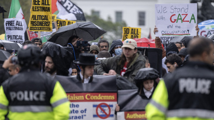 Pro-Palestine demonstrators rally at US capital