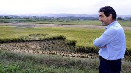 Giappone, effetti distruttivi del cambiamento climatico sui prodotti agricoli 