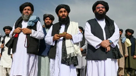چوکی داغ (اظهارات مقام طالبان در مورد شبکه القاعده)