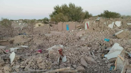 عذرخواهی طالبان به دلیل پخش آمار نادرست از قربانیان زلزله هرات 