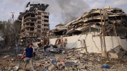 巴勒斯坦殉难人数增加至六千人