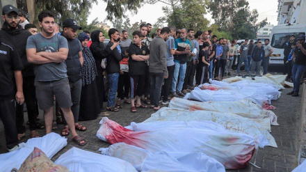 Numri i dëshmorëve në Gaza arriti në 2329 persona / më shumë se 9 mijë të plagosur