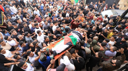 Three young Palestinian men killed by Israeli fire in fresh West Bank raids