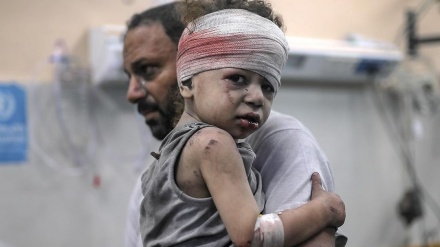 Jet Tempur Israel Jatuhkan Bom di Distrik Sheikh Radwan 