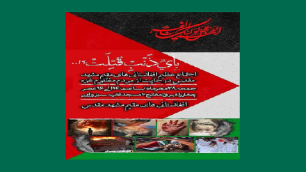 برگزاری اجتماع عظیم مهاجرین افغانستانی مقیم مشهد در حمایت از مردم مظلوم غزه