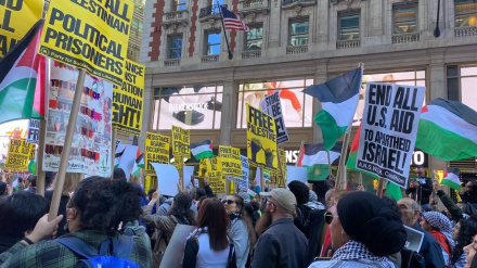 חברת מועצת עיר ניו יורק פרו-ישראלית נעצרה לאחר שהגיעה עם אקדח להפגנה פרו-פלסטינית