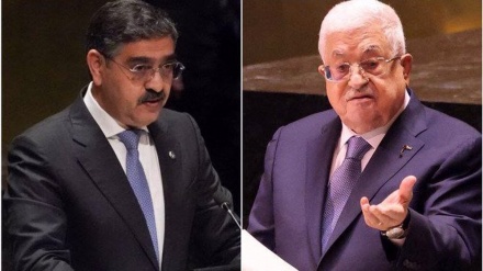 গাজায় ইসরাইলি বর্বরতা বন্ধে দ্রুত ব্যবস্থা নিন: পাকিস্তানের প্রধানমন্ত্রী