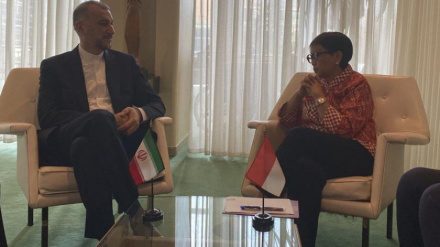 Консультации министров иностранных дел Ирана и Индонезии по прекращению преступлений сионистского режима в Газе