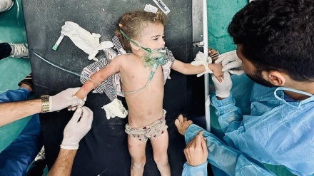 Serangan Udara Israel Berlanjut, 436 Warga Palestina Gugur Syahid (2)