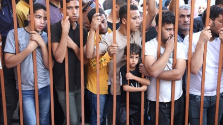 Hamas urges Muslim world to stop Israeli genocide in Gaza, open Rafah Crossing