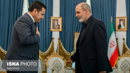 Секретарь ВСНБ Ирана подчеркнул строгое выполнение ирано-иракского соглашения о безопасности