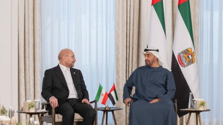 Irans Parlamentspräsident: Iran und VAE können zum größten Wirtschaftszentrum der Welt werden