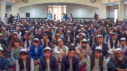 Afghans celebrate Islamic Unity Week