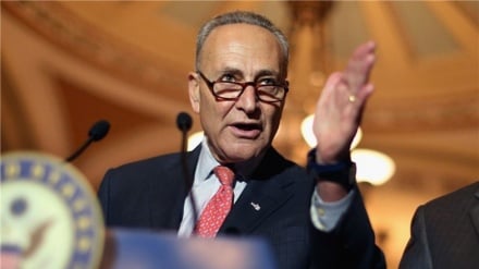 Ч. Шумер: Американцы устали от Трампа и республиканцев