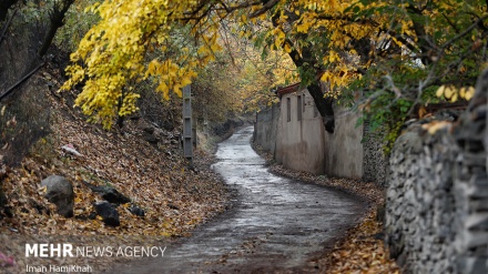 Natyra vjeshtore e Abbasabad të Hamedanit/Foto