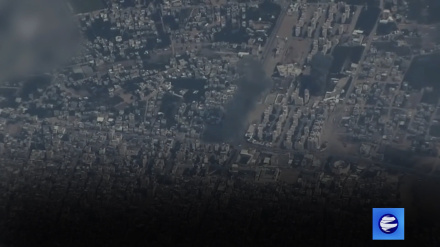 Пропалестинские голоса заглушаются под давлением Израиля