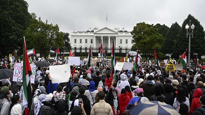 Demo dukung Palestina di Amerika Serikat