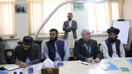 ملګرو ملتونو له افغان بزګرانو سره د کرنې د ودې لپاره د خپلو مرستو د دوام ډاډ ورکړ