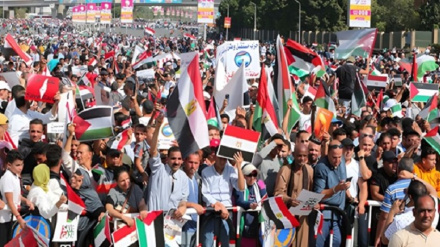 CNN: Bota arabe e irrituar nga Amerika