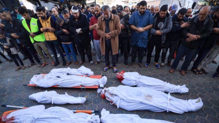 Israel killed 12,000 Palestinians, including 5,000 children, since October 7