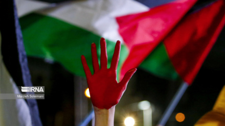 Использование сионистским режимом европейских наемников для войны против сектора Газа 