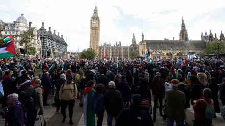 Demonstrata e qytetarëve të Evropës për të ndalur krimet e regjimit sionist ndaj civilëve palestinezë në Gaza/Foto