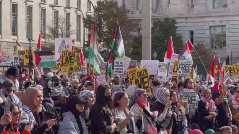 Thousands of pro-Palestinian demonstrators in Washington DC call for ...