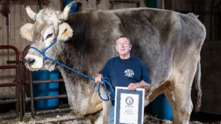 د نړۍ تر ټولو لوی غوايي نندرې ته وړاندی شو