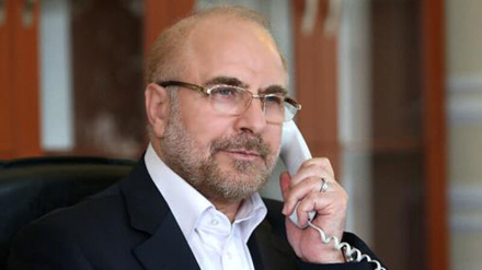 Իրանի խորհրդարանի նախագահը հեռախոսազրույց է ունեցել Ալժիրի իր գործընկերոջ հետ. Պետք է անհապաղ քայլեր ձեռնարկել Իսրայելի հարձակումները դադարեցնելու համար

