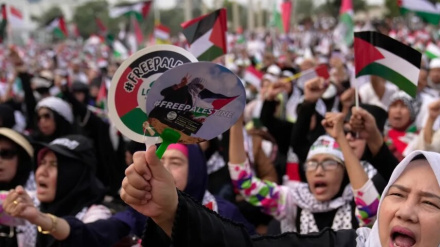 (FOTO) Israele non si ferma a Gaza, esplode rabbia in paesi musulmani