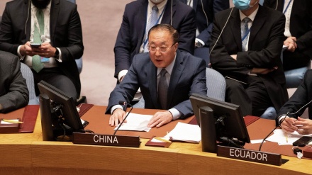中国代表在安理会就加沙危机表态：全世界须大声疾呼——该打住了！