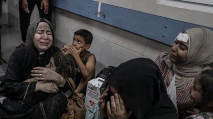 Գազայում նահատակների թիվը գերազանցում է տաս հազարը․ Նրանցից 4800-ը երեխաներ են