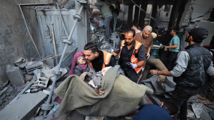 ガザ地区で住宅地や病院への爆撃が継続、ハーンユヌスで８０人が殉教