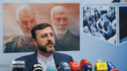 Гарибабади: Сионистский режим не одинок в своих преступлениях против палестинцев